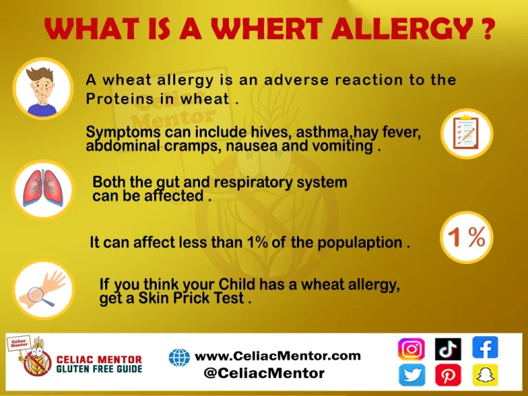 Wheat Allergy vs Celiac Disease: What’s the Difference?